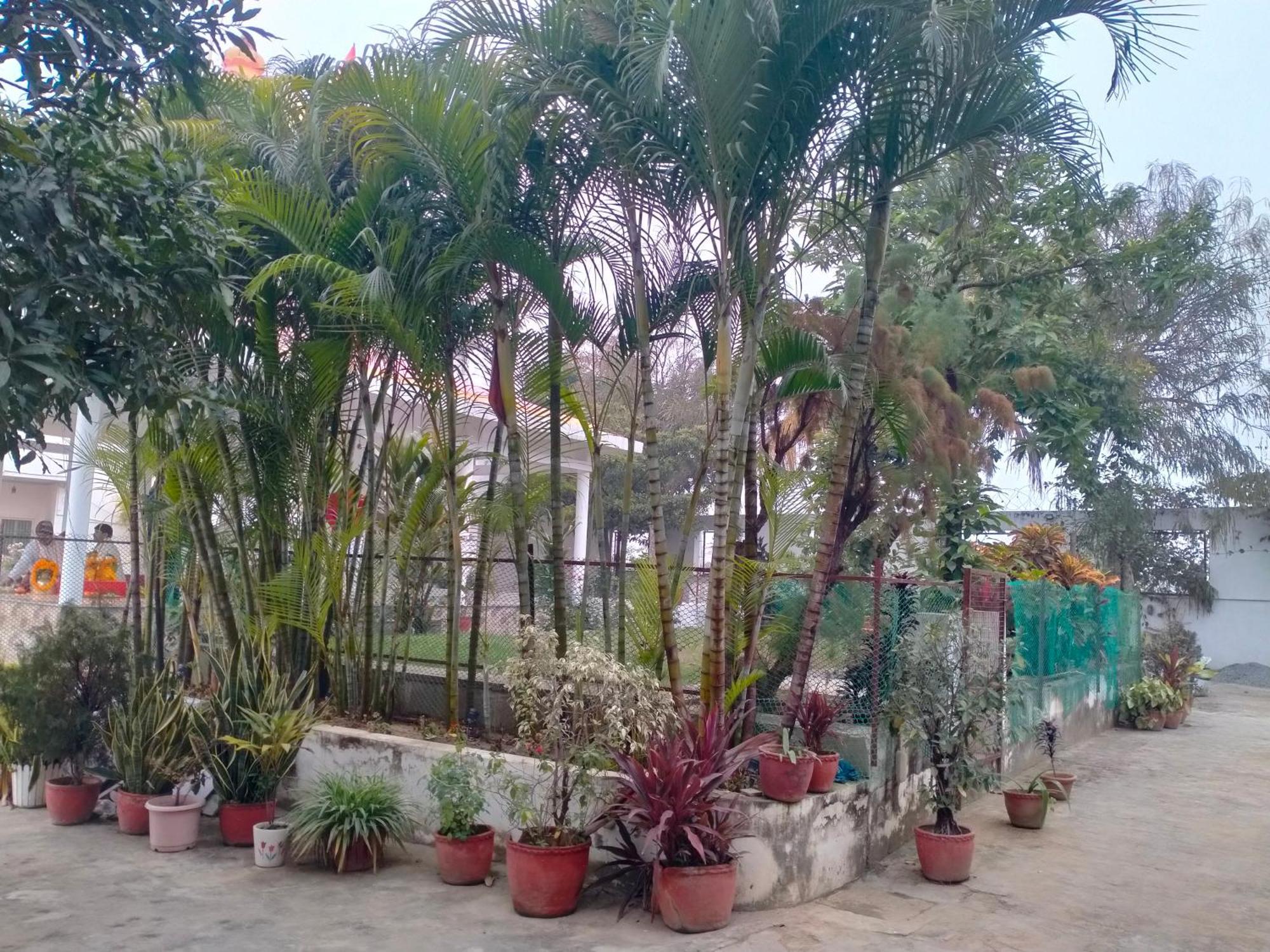 Vedic Villa Varanasi Bagian luar foto