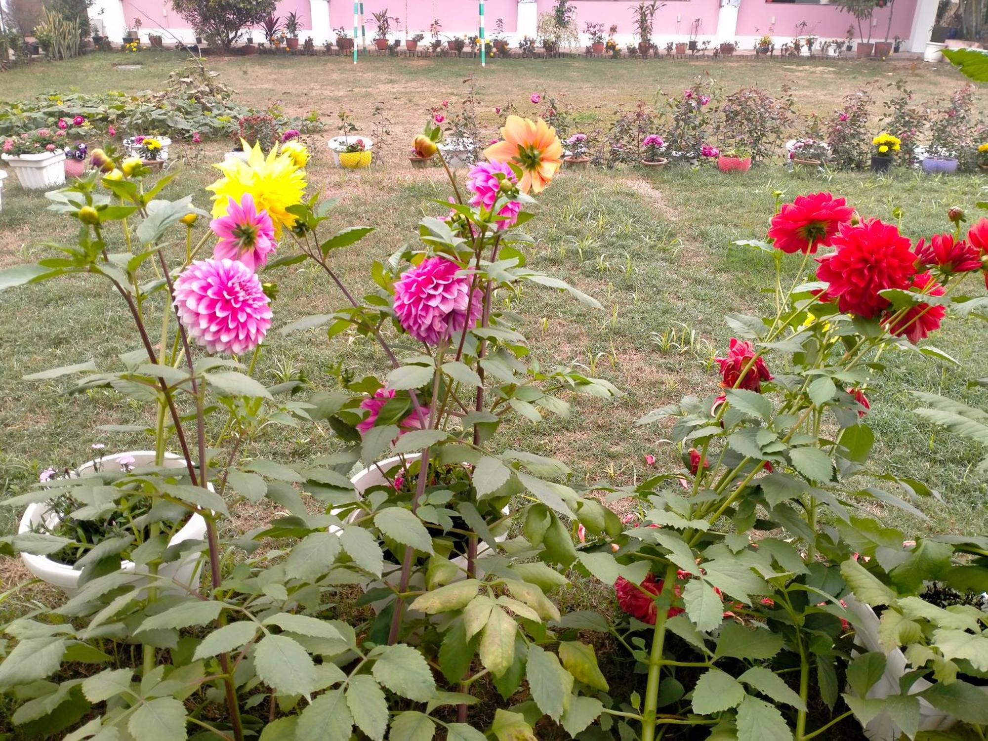 Vedic Villa Varanasi Bagian luar foto